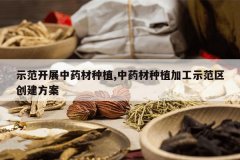 <b>ʾ����չ��ҩ����ֲ,��ҩ����ֲ�ӹ�ʾ������������</b>