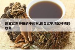 <b>�����ɶ���ֲ����ҩ��,�ʺ�����������ֲ������</b>