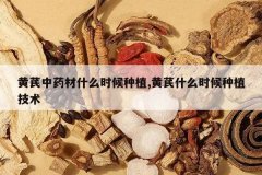 <b>������ҩ��ʲôʱ����ֲ,����ʲôʱ����ֲ����</b>