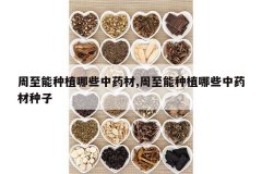 <b>��������ֲ��Щ��ҩ��,��������ֲ��Щ��ҩ������</b>