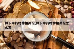 <b>������ҩ����ֲ��,������ҩ����ֲ����ôд</b>