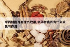 <b>��ҩ��¹����ʲôЧ��,��ҩ��¹����ʲôЧ��������</b>