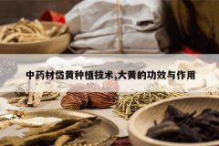 <b>��ҩ��᷻���ֲ����,��ƵĹ�Ч������</b>