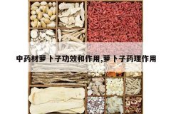 <b>��ҩ���ܲ��ӹ�Ч������,�ܲ���ҩ������</b>