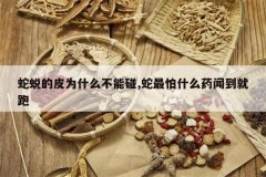 <b>���ɵ�ƤΪʲô������,������ʲôҩ�ŵ�����</b>