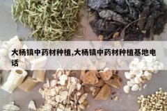 <b>��������ҩ����ֲ,��������ҩ����ֲ���ص绰</b>