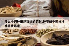 <b>ʲô��ҩ��ֲ��Ǯ���ҩ��,����Щ��ҩ����Ǯ������</b>