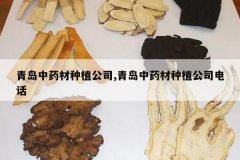 <b>�ൺ��ҩ����ֲ��˾,�ൺ��ҩ����ֲ��˾�绰</b>