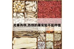 <b>�������,�����Ĺ�ʵ�ܲ�����ֲ</b>