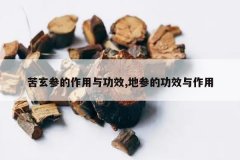 <b>�����ε������빦Ч,�زεĹ�Ч������</b>