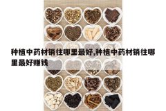 <b>��ֲ��ҩ�������������,��ֲ��ҩ�������������׬Ǯ</b>