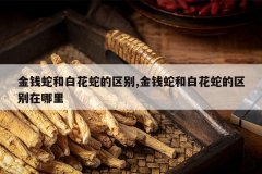 <b>��Ǯ�ߺͰ׻��ߵ�����,��Ǯ�ߺͰ׻��ߵ�����������</b>