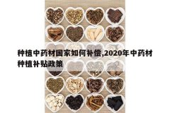 <b>��ֲ��ҩ�Ĺ�����β���,2020����ҩ����ֲ��������</b>