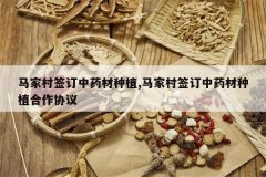 <b>���Ҵ�ǩ����ҩ����ֲ,���Ҵ�ǩ����ҩ����ֲ����Э��</b>