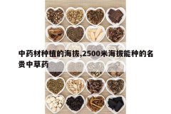 <b>��ҩ����ֲ�ĺ���,2500�׺������ֵ������в�ҩ</b>