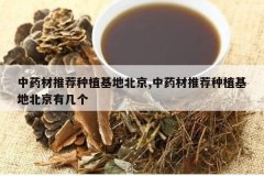 <b>��ҩ���Ƽ���ֲ���ر���,��ҩ���Ƽ���ֲ���ر����м���</b>