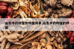 <b>ɽ����ҩ��������ֲ��,ɽ����ҩ��ֲ������</b>