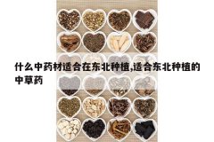 <b>ʲô��ҩ���ʺ��ڶ�����ֲ,�ʺ϶�����ֲ���в�ҩ</b>
