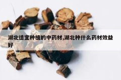 <b>����������ֲ����ҩ��,������ʲôҩ��Ч���</b>