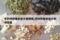 <b>��ҩ����ֲ��ҵ����ģ��,ҩ����ֲ��ҵ�ƻ�������</b>