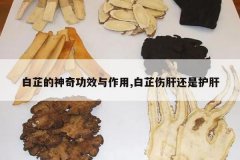 <b>���Ƶ����湦Ч������,�����˸λ��ǻ���</b>