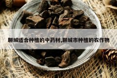 <b>�ĳ��ʺ���ֲ����ҩ��,�ĳ�����ֲ��ũ����</b>