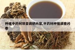 <b>��ֲ��ҩ����Ŀ��������,��ҩ����ֲ�����ʾ�</b>