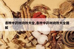 <b>������ҩ�Ĺ�Ч��ȫ,������ҩ�Ĺ�Ч��ȫͼ��</b>