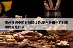 <b>������ֲ��ҩ�ĵ�������,������ֲ��ҩ�ĵ���������ʲô</b>