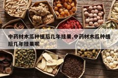 <b>��ҩ��ľ����ֲ����ҹ�,��ҩ��ľ����ֲ����ҹ���</b>