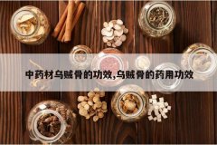 <b>��ҩ�������ǵĹ�Ч,�����ǵ�ҩ�ù�Ч</b>