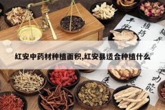 <b>�찲��ҩ����ֲ���,�찲���ʺ���ֲʲô</b>