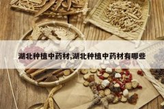 <b>������ֲ��ҩ��,������ֲ��ҩ������Щ</b>