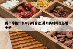 <b>������ֲʲô��ҩ�ĺ���,����ҩ����ֲ���ص绰</b>