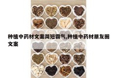 <b>��ֲ��ҩ���İ���̰���,��ֲ��ҩ������Ȧ�İ�</b>