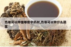 <b>�ȴ�������ֲ��Щ��ҩ��,�ȴ�������ʲô�߲�</b>