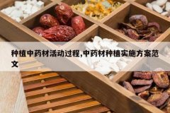 <b>��ֲ��ҩ�Ļ����,��ҩ����ֲʵʩ��������</b>