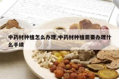 <b>��ҩ����ֲ��ô����,��ҩ����ֲ��Ҫ����ʲô����</b>