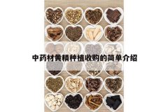 <b>��ҩ�Ļƾ���ֲ�չ��ļ򵥽���</b>