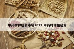 <b>��ҩ����ֲ���г�2022,��ҩ����ֲ����</b>