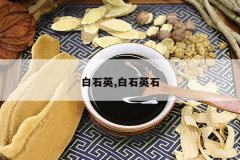 <b>��ʯӢ,��ʯӢʯ</b>