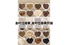 <b>��Ҷ��·��,��Ҷ��·��Ǥ��</b>