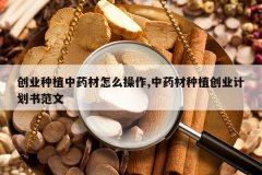 <b>��ҵ��ֲ��ҩ����ô����,��ҩ����ֲ��ҵ�ƻ��鷶��</b>