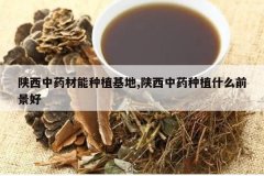 <b>������ҩ������ֲ����,������ҩ��ֲʲôǰ����</b>