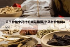 <b>������ֲ��ҩ�ĵ���վ�Ƽ�,��ҩ����ֲ��app</b>