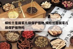 <b>������ǹ��Ҽ�������ֲ��,������ǹ��Ҽ�������ֲ����</b>