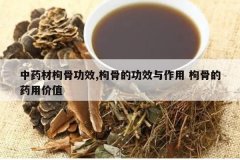 <b>��ҩ���۹ǹ�Ч,�۹ǵĹ�Ч������ �۹ǵ�ҩ�ü�ֵ</b>