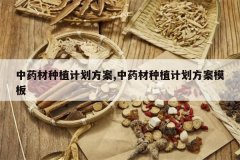 <b>��ҩ����ֲ�ƻ�����,��ҩ����ֲ�ƻ�����ģ��</b>