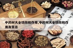 <b>��ҩ�Ĵ�ȫ��Ч������,��ҩ�Ĵ�ȫ��Ч�����ü�����</b>