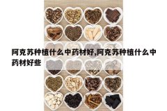 <b>��������ֲʲô��ҩ�ĺ�,��������ֲʲô��ҩ�ĺ�Щ</b>